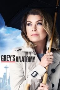 download grey anatomy episodes